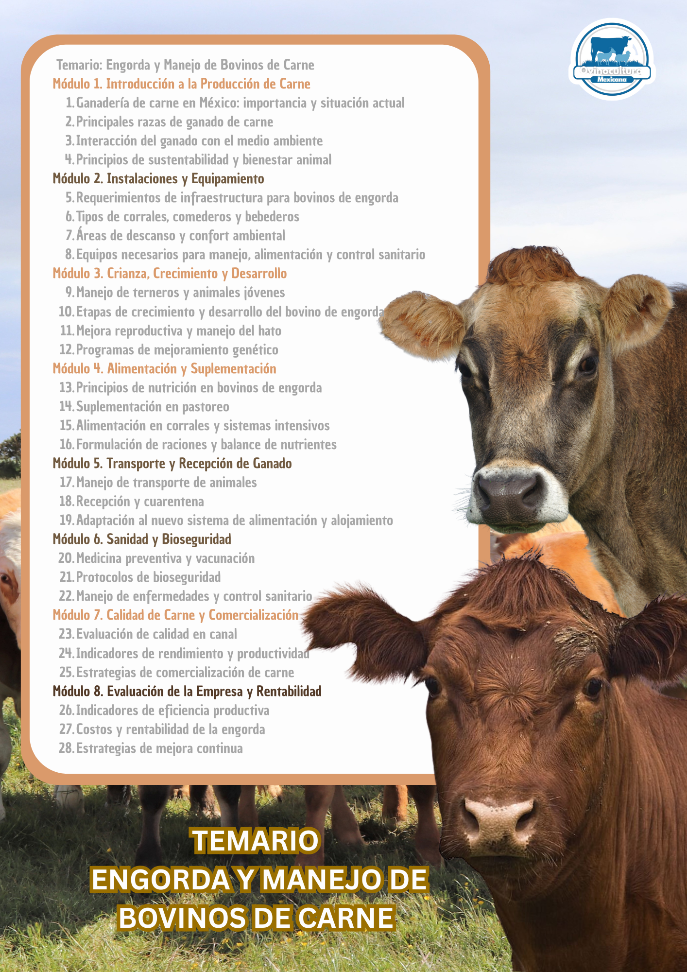 Curso de Bovinos de Carne - Image 2