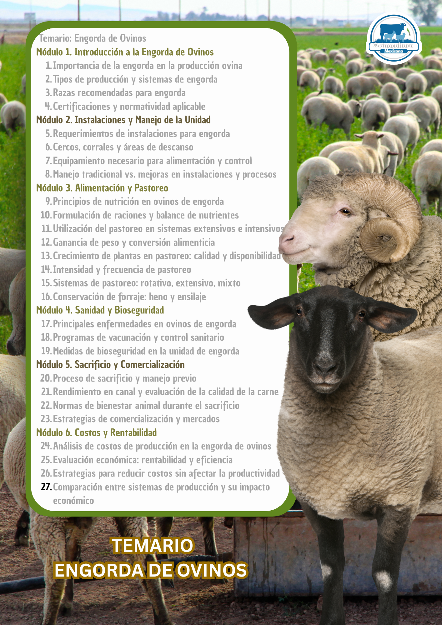 Curso de Ovinos de Engorda - Image 2