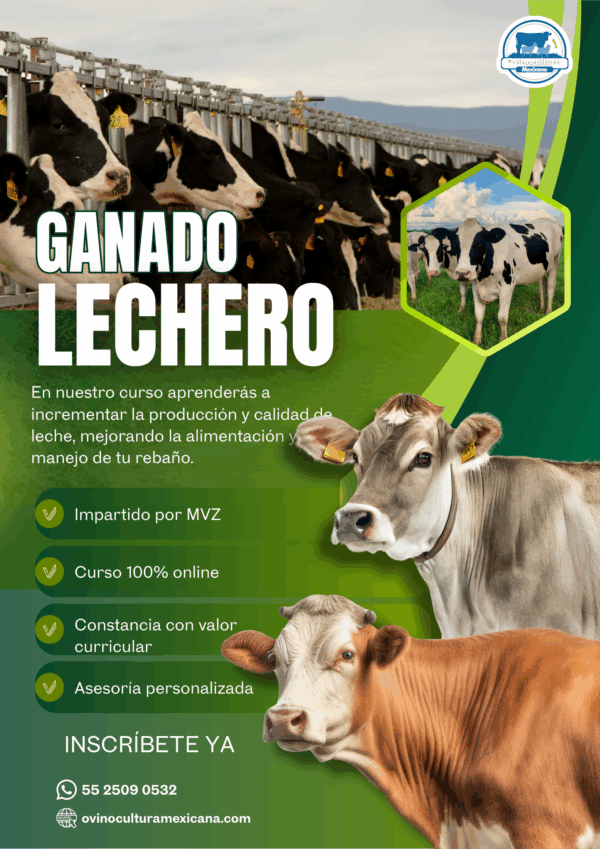 Curso de Bovinos de Leche