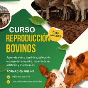 Curso de Reproducción de Bovinos