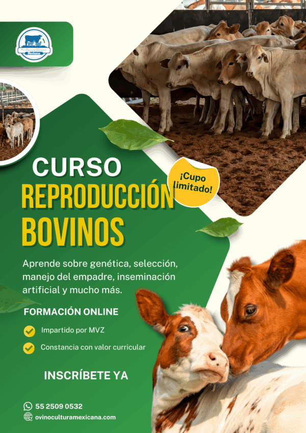 Curso de Reproducción de Bovinos