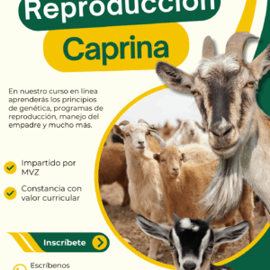Curso de Reproducción de Caprinos