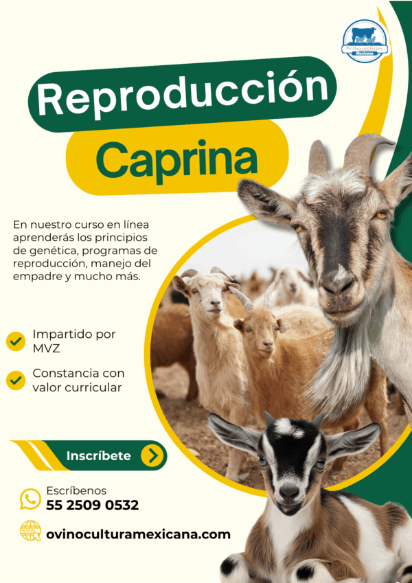 Curso de Reproducción de Caprinos