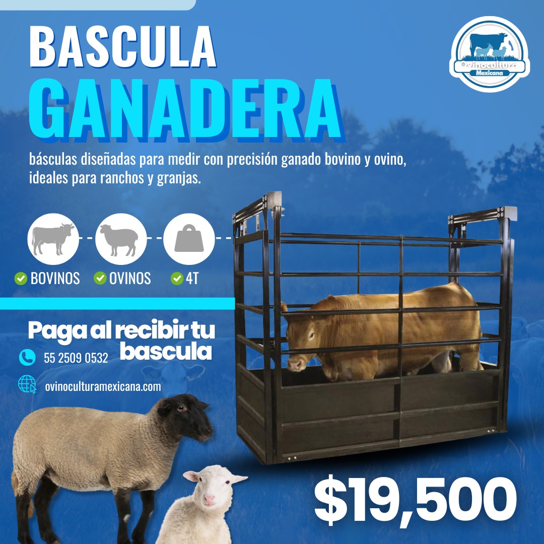 Bascula Ganadera 4 T