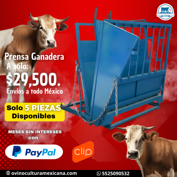 Prensa Ganadera